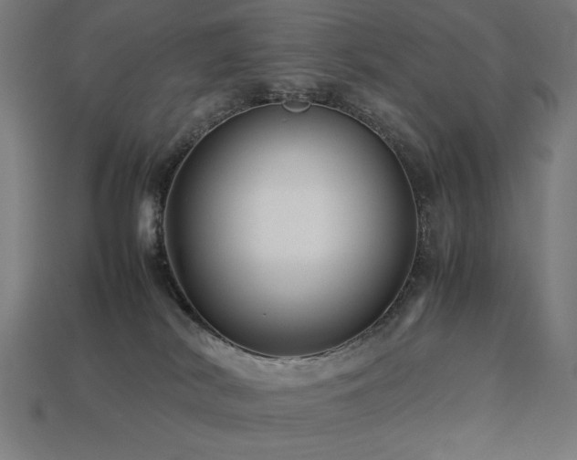 X0000113760038200909231214