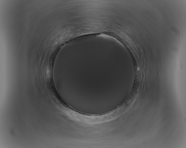 X0000113760039200909231214