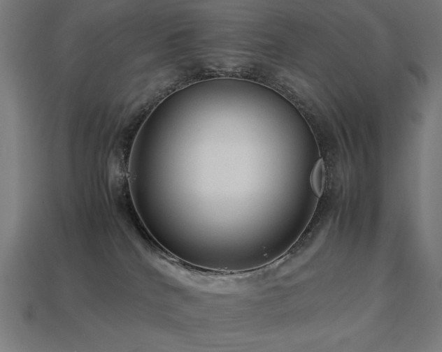 X0000113760040200909231214