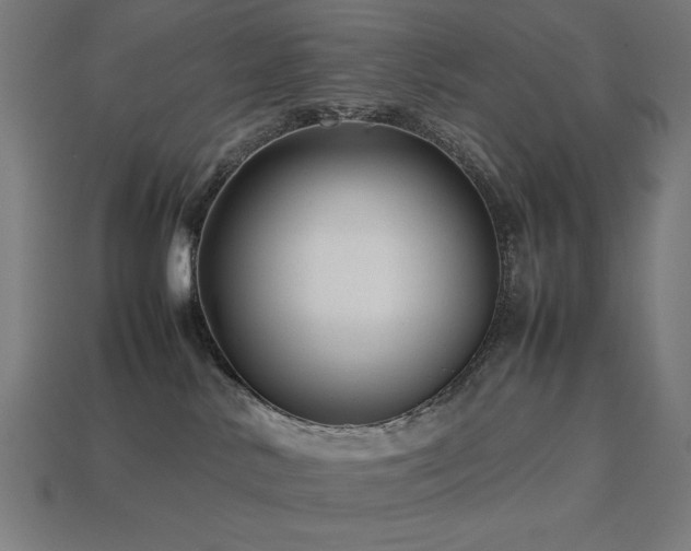 X0000113760042200909231214