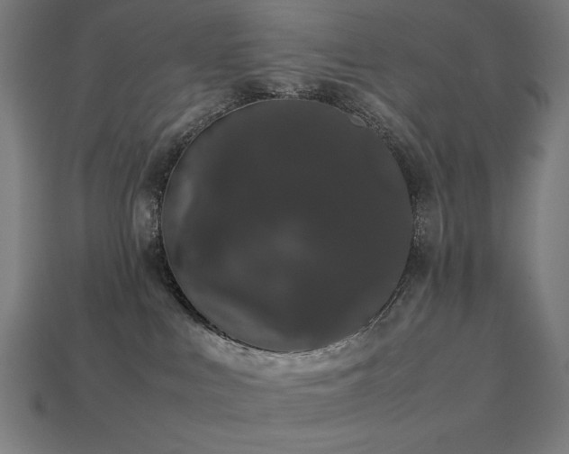X0000113760043200909231214