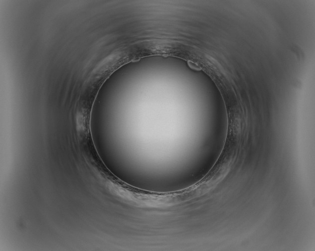 X0000113760044200909231214