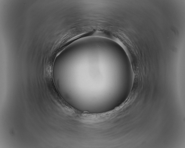 X0000113760045200909231214
