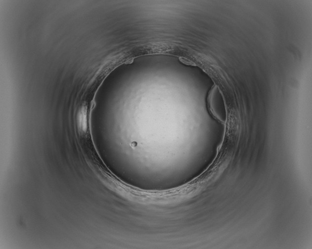 X0000113760046200909231214