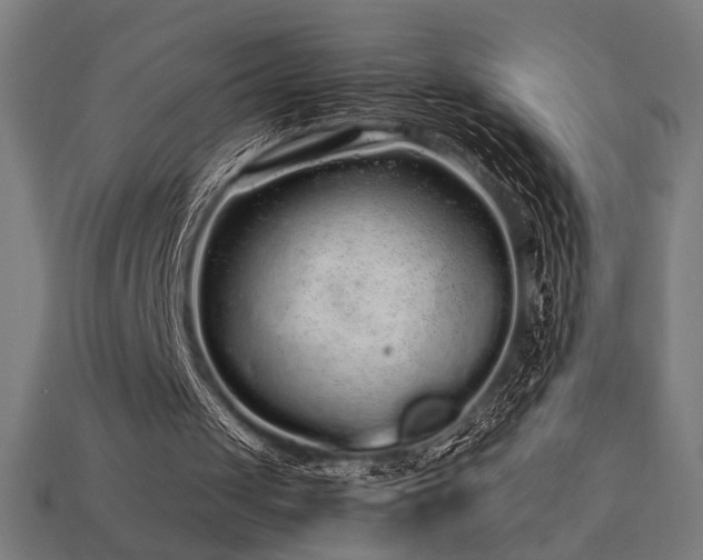 X0000113760049200909231213