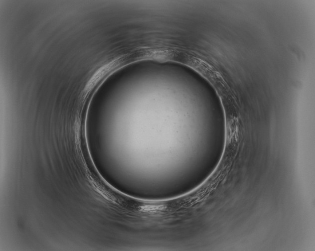 X0000113760051200909231213