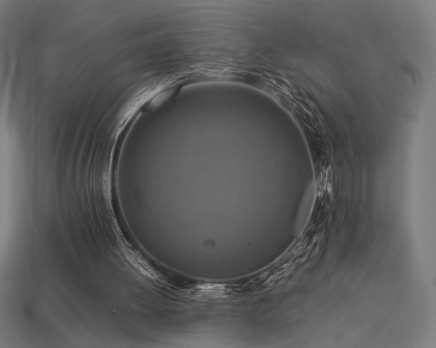 X0000113760052200909231213