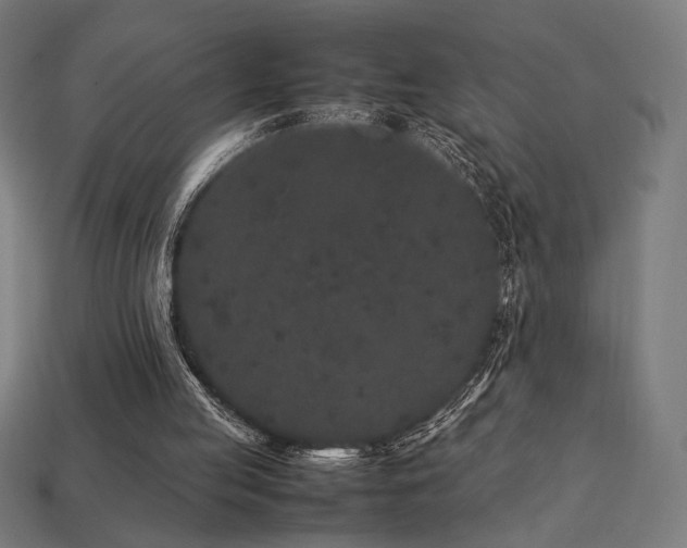 X0000113760053200909231213