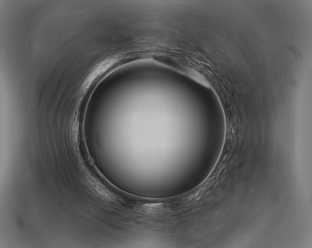 X0000113760054200909231213