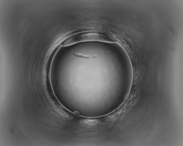 X0000113760055200909231213