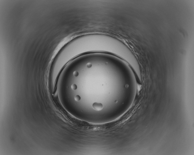 X0000113760056200909231213
