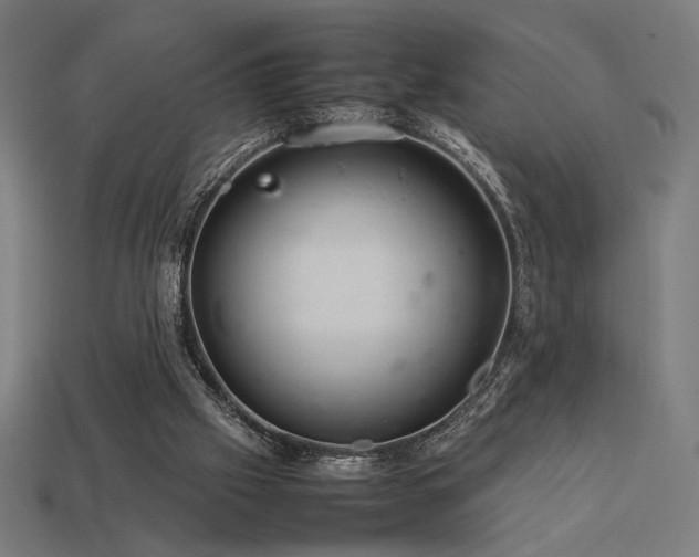X0000113760057200909231213