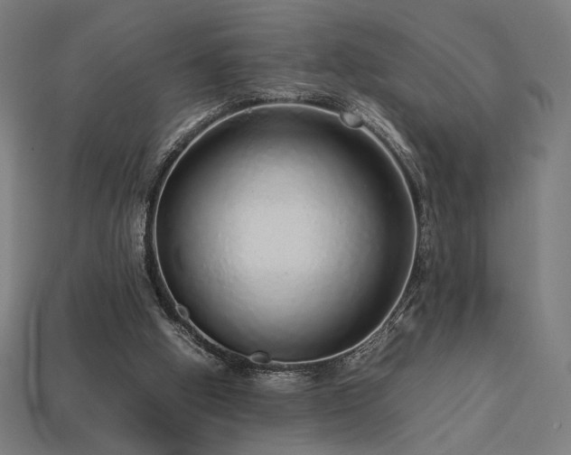 X0000113760058200909231213