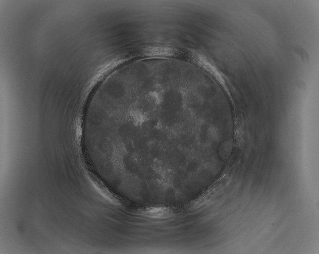 X0000113760059200909231213