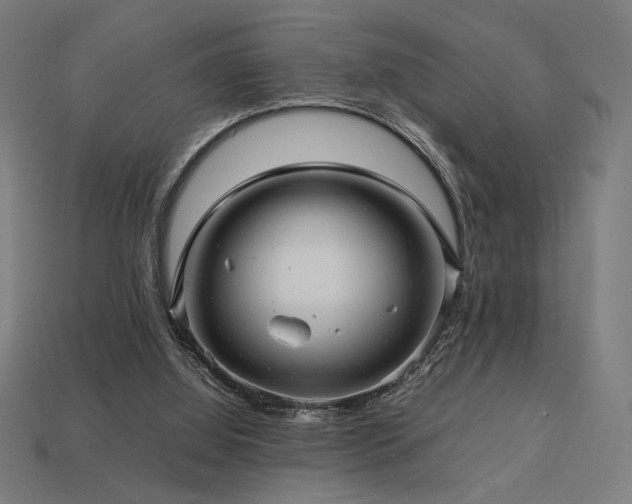X0000113760060200909231213