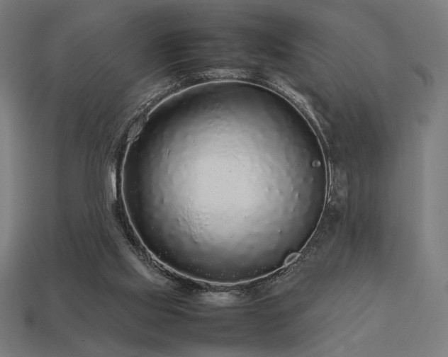 X0000113760061200909231213