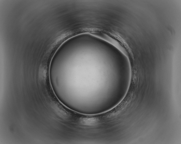 X0000113760063200909231213
