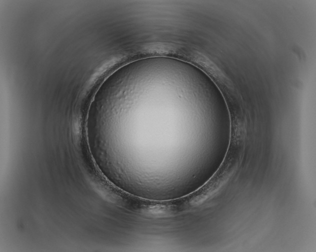 X0000113760064200909231213