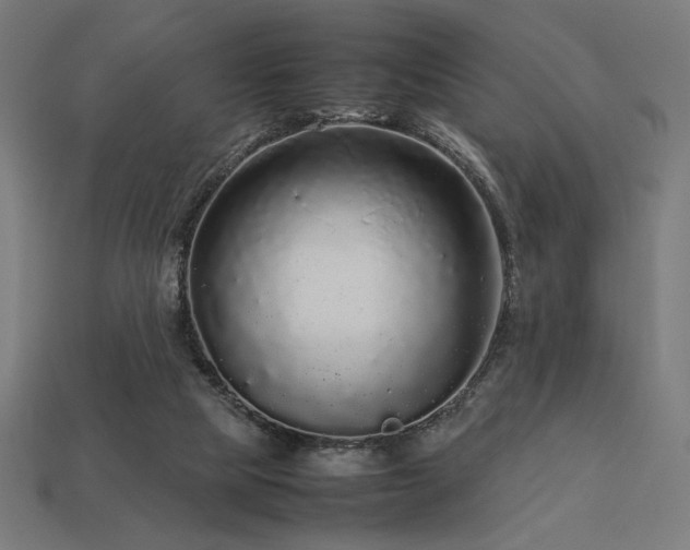 X0000113760065200909231213