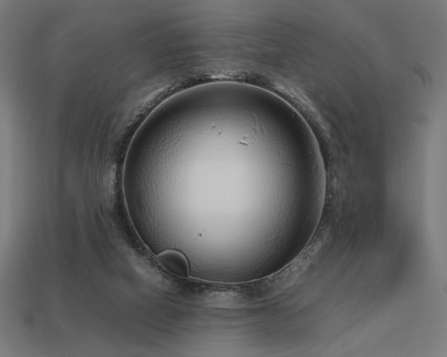 X0000113760066200909231213