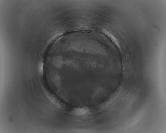 X0000113760067200909231213