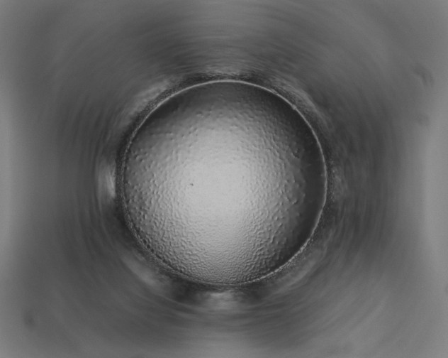 X0000113760068200909231213