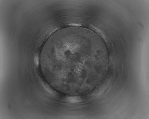 X0000113760069200909231213