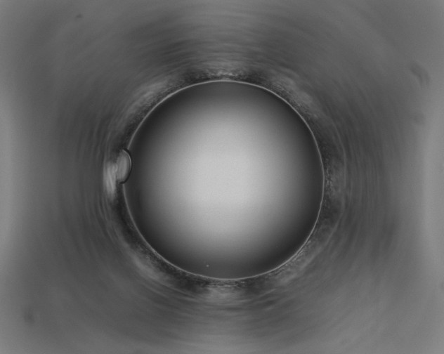 X0000113760070200909231213