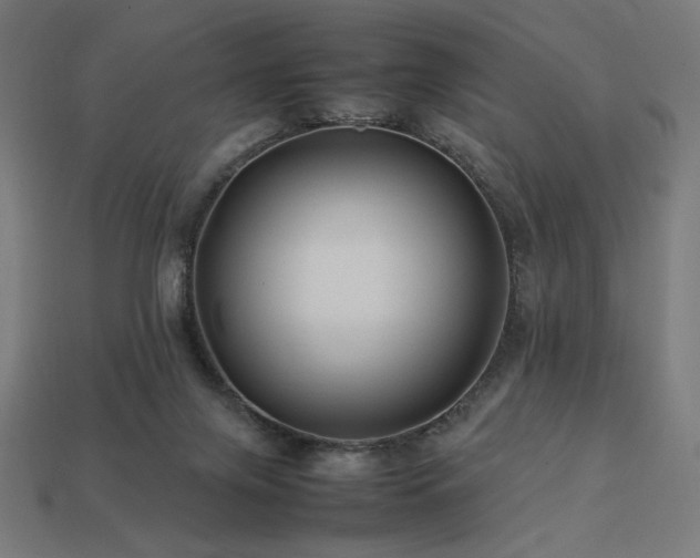 X0000113760071200909231213