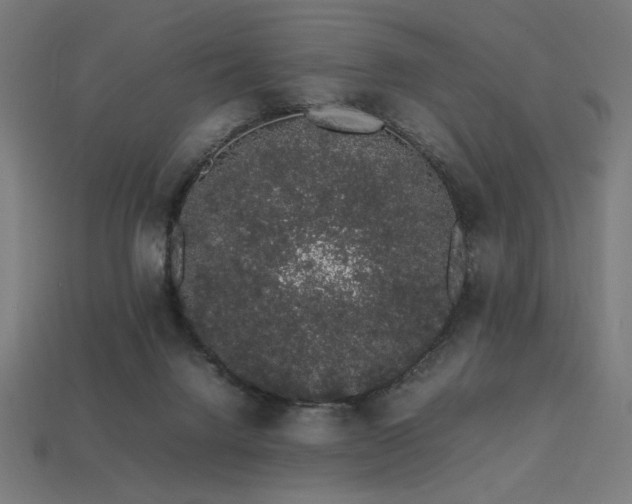 X0000113760072200909231213