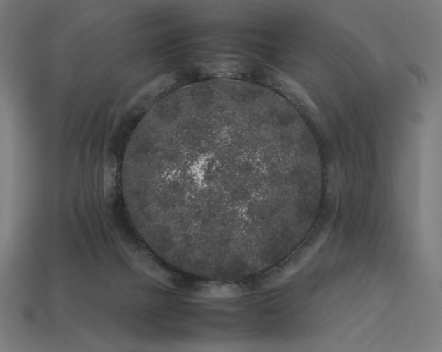 X0000113760073200909231213