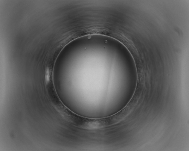 X0000113760075200909231213