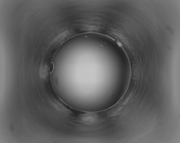 X0000113760077200909231213