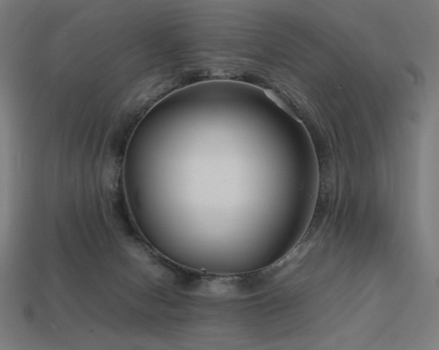 X0000113760078200909231213
