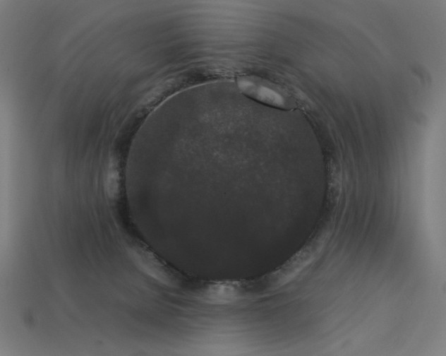 X0000113760080200909231214