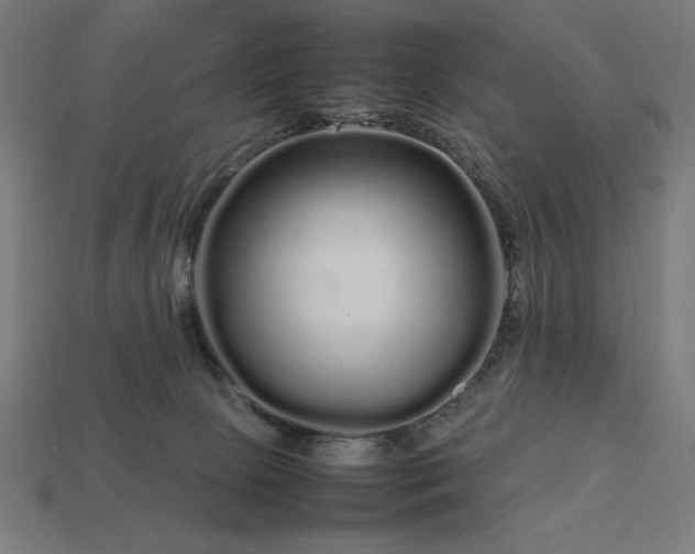 X0000113760081200909231214