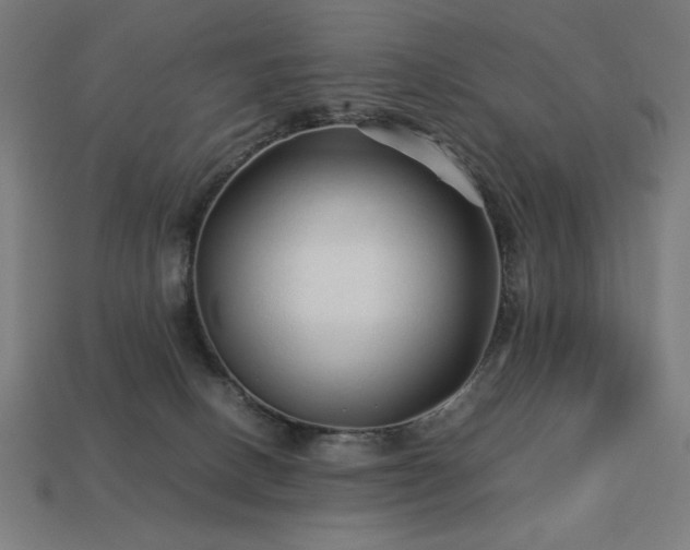 X0000113760082200909231214