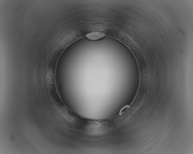 X0000113760083200909231214