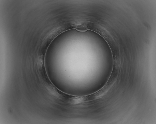 X0000113760085200909231214