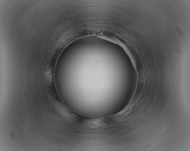 X0000113760086200909231214