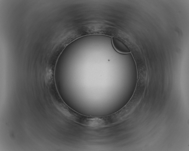 X0000113760087200909231214
