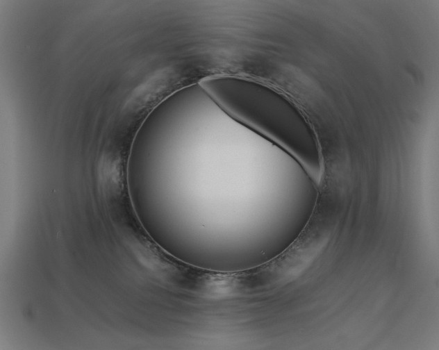 X0000113760088200909231214