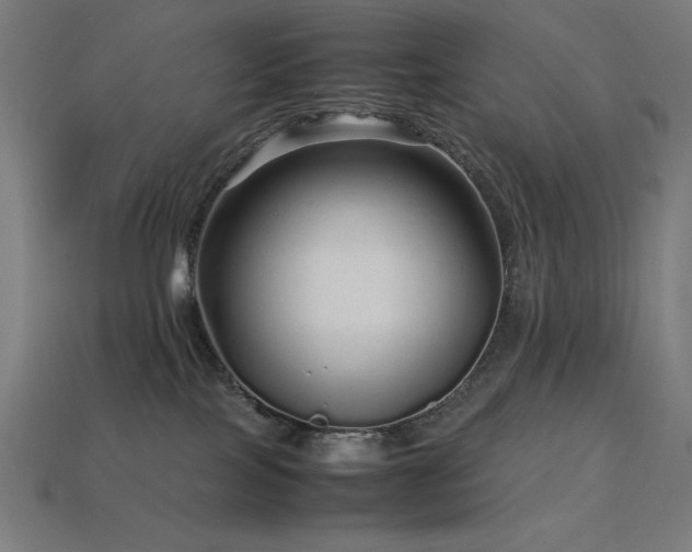 X0000113760089200909231214