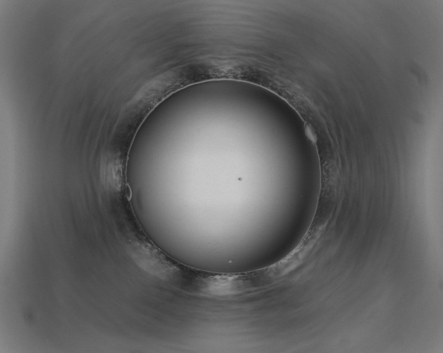 X0000113760090200909231214