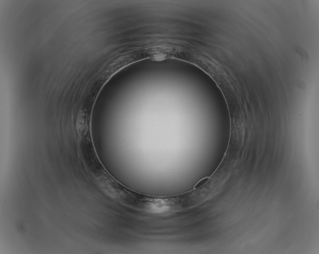 X0000113760091200909231214