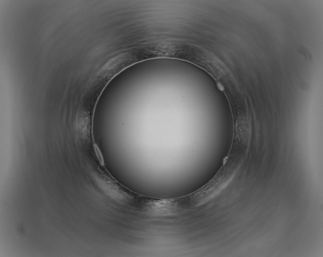 X0000113760092200909231214