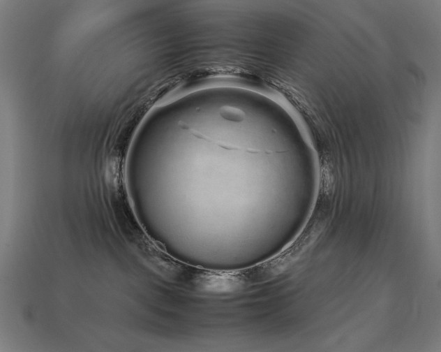 X0000113760093200909231214