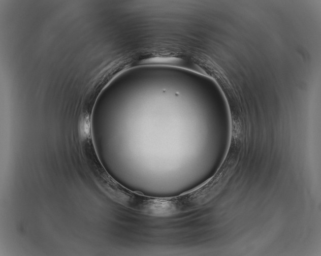 X0000113760095200909231214