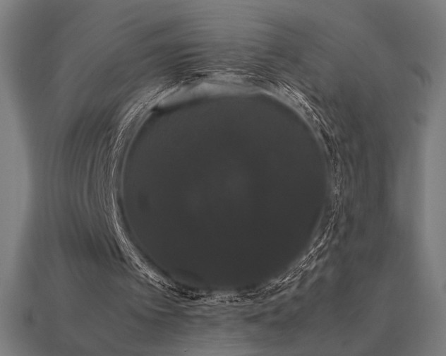 X0000113760097200909231213