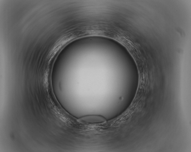 X0000113760098200909231213
